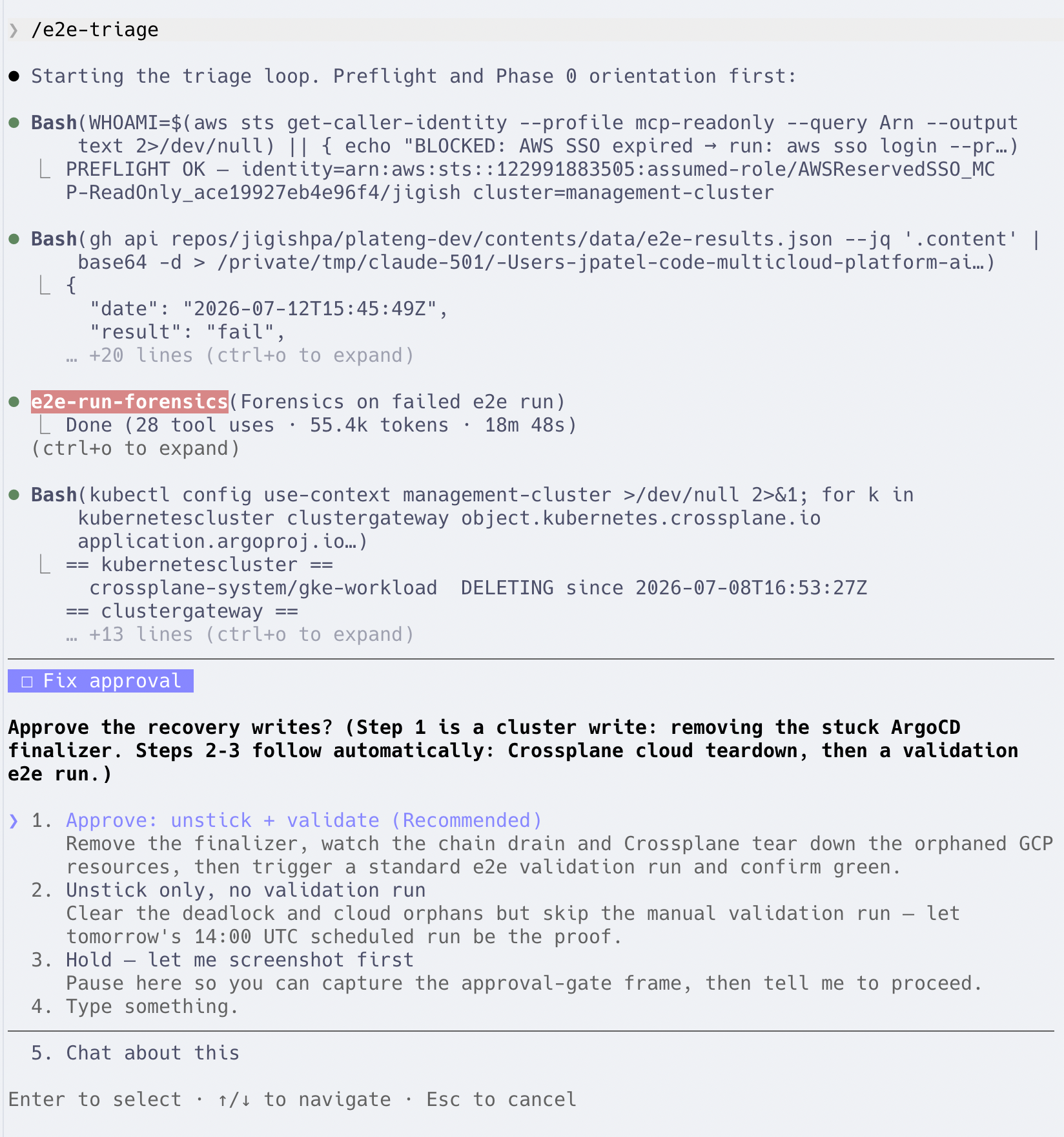 Terminal: /e2e-triage invocation, preflight, forensics agent run, leftover scan, and approval dialog